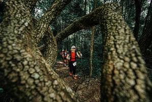 BIB: 
                            <button type="button" onclick="openModal(25703462)" class="btn btn-primary btn-sm float-right btn-popup" data-toggle="modal" data-target=".modal-high-quality">
                        <i class="fas fa-shopping-cart"></i> Add to Cart
                    </button>
                                            <button type="button" onclick="isThisMe(25703462, true)" class="btn btn-success btn-sm float-right btn-popup btn-isme hidden" data-toggle="tooltip" data-placement="bottom" title="นี่คือรูปของคุณใช่ไหม คลิกที่นี่เพื่อเอาเข้าอัลบั้ม">
                        <i class="fas fa-plus"></i> Add to album
                    </button>
                    <button type="button" onclick="isThisMe(25703462, false)" class="btn btn-warning btn-sm float-right btn-popup btn-isnotme hidden">
                        <i class="fas fa-ban"></i> Remove from album
                    </button>